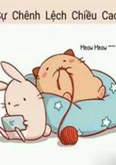 Mèo béo và thỏ