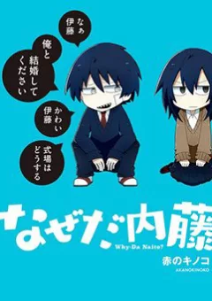 Why Naitou