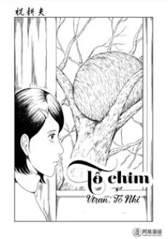 Tổ Chim