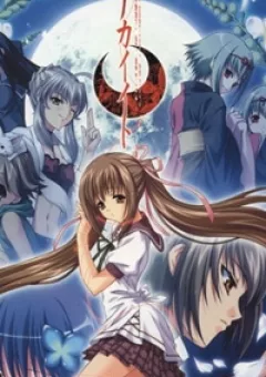 Akai Ito